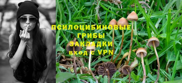 прущая мука Аркадак