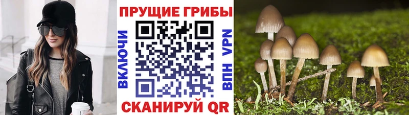 Галлюциногенные грибы MAGIC MUSHROOMS Нижняя Салда